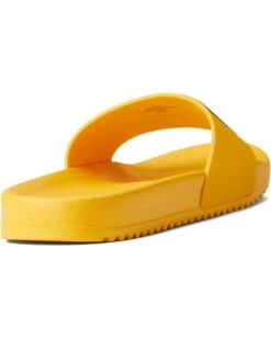 Tommy Hilfiger Roylan | Sandals -Styled Soles 51lKNW1r87L. AC SR736920