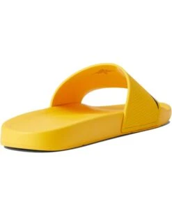 Tommy Hilfiger Emrick | Sandals -Styled Soles 51m1fIlB L. AC SR736920